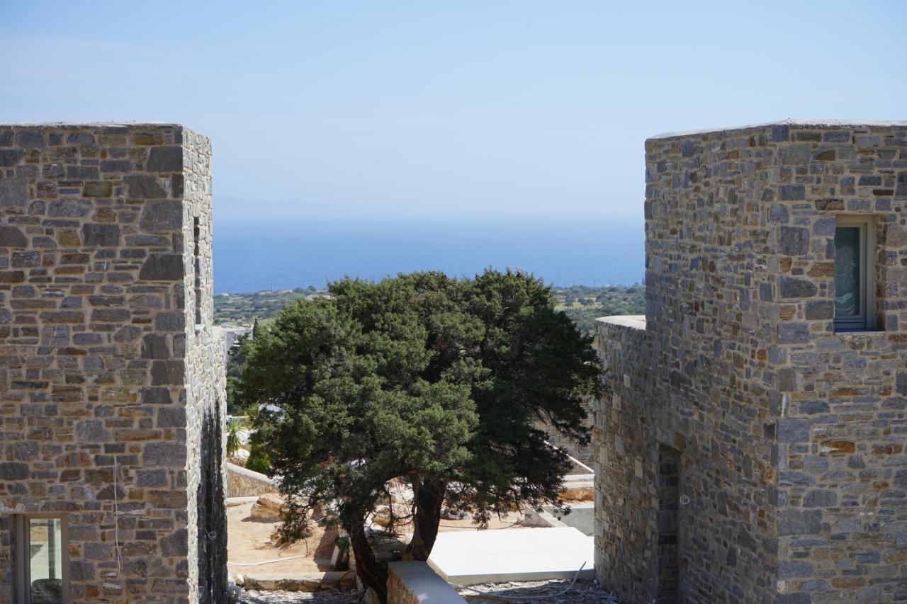 Paros-Memories-Neubau-Villen, Sportpool Aspro Chorio Eksteriør billede